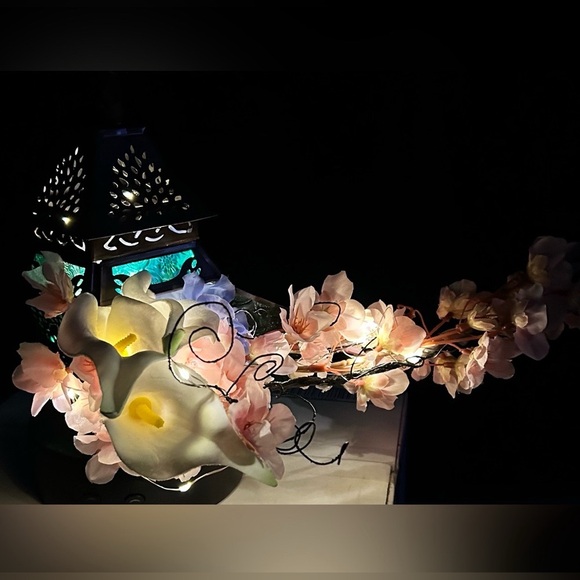 @yancyholland IS LIVE! - Picture 6 of 14